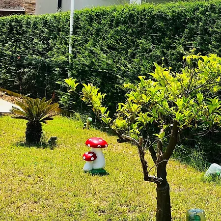 Dua Villa Fushe-Drac