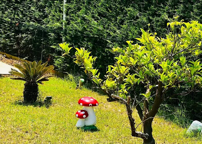 Dua Villa Fushe-Drac